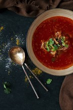 Traditional Georgian dish spicy tomato, Kharcho soup, on a dark background, no people, top view