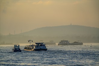 Cargo ships on the river Rhine near Duisburg-Bruckhausen, Rheinpreußen spoil tip, winter, Duisburg,