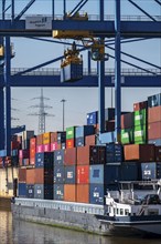 Container cargo ship in the harbour basin of the Logport, gantry cranes in the Container Handling