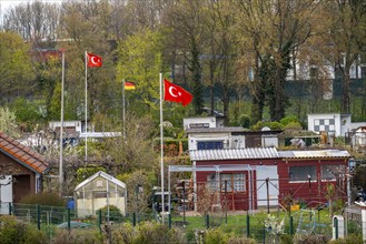 Allotment gardens on the Rhine dyke near Duisburg-Beeckerwerth, allotment garden association