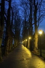 The Burgallee in Düsseldorf-Kaiserswerth, tree-lined avenue, at the old imperial palace, on the