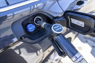 Diesel car is refuelled with diesel fuel, petrol station