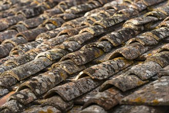 Old roof tiles, roof, old, moss, texture, background, graphic, building, dilapidated, surface,