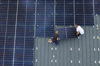 Installation of solar modules on the roof of a barn on a farm, over 210 photovoltaic modules are