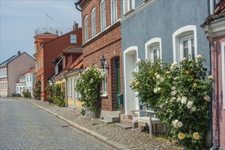 Old houses with roses on a tiny street in the small town of Ystad, Skåne county, Sweden,