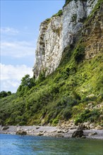 White Cliff from a drone, Jurassic Coast, Seaton, Devon, England, United Kingdom, Europe