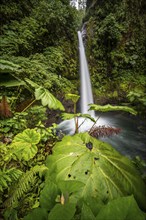 La Paz waterfall, waterfall in dense green vegetation, long exposure, Alajuela province, Costa