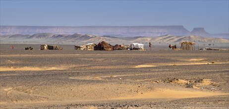 Bedouin tents in the Sahara Desert near Merzouga, Drâa-Tafilalet, Errachidia, Morocco, Africa