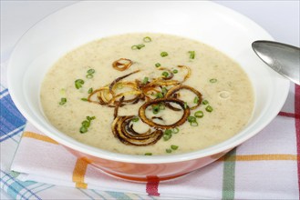 Swabian cuisine, green spelt soup, healthy, vegetarian, regional, soup served in a bowl, home