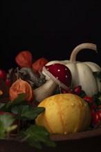 A bowl with pumpkins, rosehips and lantern flowers, autumn decoration, Germany, Europe