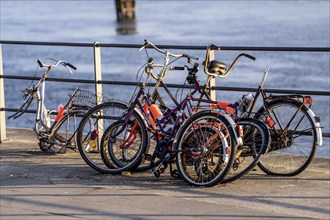 Bicycle scrap, old, partly looted, dismantled bicycles, in the HafenCity in Hamburg, on the shore