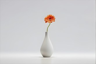 Minimalist ceramic vase composition with a single flower, AI generated