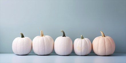 White pumpkins in a row on pastel blue background. KI generiert, generiert AI generated