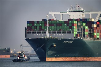 Harbour tugs bring the container freighter Ever Globe to its berth at Hutchison Ports ECT Euromax,