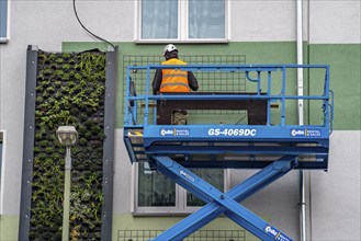 Installation of façade greenery on 4 apartment blocks on Gladbecker Straße, B224, to filter