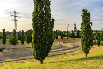 The Krupp Park in Essen-Altendorf, part of the Krupp Belt, an urban development project to rebuild