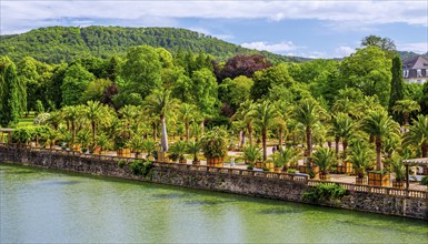 Castle moat with palm garden in the spa gardens, the largest outdoor palm garden north of the Alps,