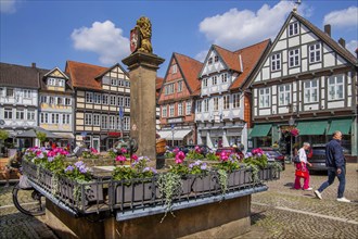 Fountain on the Großer Plan in the old town centre with typical half-timbered houses, Celle,