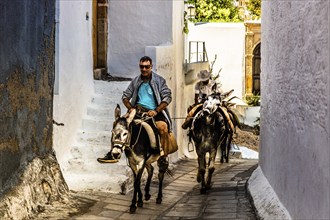 Donkeys for transporting tourists to the Acropolis, winding alleyways with white houses, Lindos,