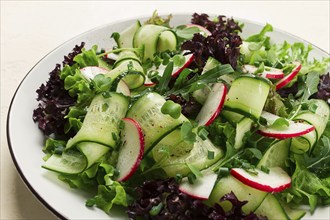 Vegetable salad, radishes and cucumbers, radish micro-greens, lettuce leaves, green onions,