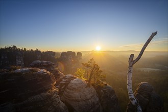 Sunrise in Saxon Switzerland, Rathen, Saxony, Germany, Europe