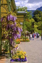 Historic Wandelhalle, Passer Promenade, Merano, South Tyrol, Italy, Europe