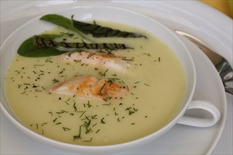 Southern German cuisine, sorrel soup with char, freshwater fish, soup served in soup bowl, herbs,