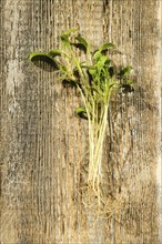 Top view of fresh watercress sprouts on wooden background