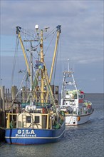 Fishing cutter, SAR boat, harbour, Strucklahnungshörn, Nordstrand, North Frisia,