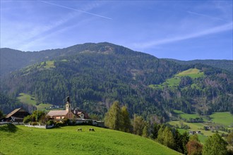 Maria Saalen pilgrimage church, Saalen near St. Lorenzen, Pustertal, South Tyrol, Italy, Europe