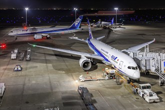 Boeing 787-8 Dreamliner aircraft of ANA All Nippon Airways at Tokyo Haneda Airport, Japan, Asia