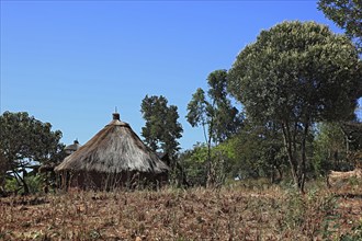 South Ethiopia, Benna people, house, hut, round hut in a Benna village, Ethiopia, Africa