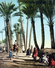 On the banks of the Nile, Cairo, Egypt, 1890, Historic, digitally restored reproduction from a 19th