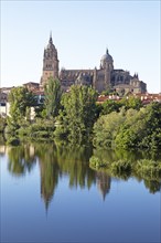 Salamanca and the cathedral on the Rio or river Tormes, province of Salamanca, Castile and Leon,