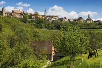 Medieval town, Rothenburg ob der Tauber, Romantic Road, Franconia, Bavaria, Germany, Europe