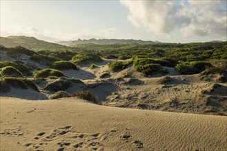 Icy beach and dunes, sunrise, Spiaggia La Liccia, near Rena Majore, Sardinia, Italy, Europe