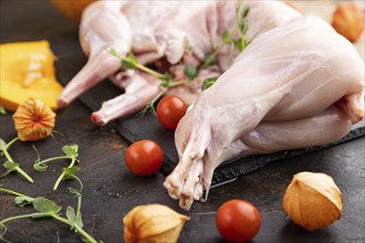 Whole raw rabbit with pumpkin, tomatoes, pea sprouts on a black concrete background and linen