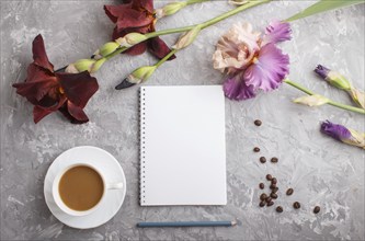 Purple and burgundy iris flowers and a cup of coffee and notebook on a gray concrete background.