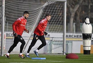 Goalkeeper Alexander Nuebel VfB Stuttgart (33) (right) and goalkeeper Fabian Bredlow VfB Stuttgart