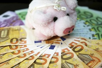 Euro banknotes with a pig as a symbol of good luck