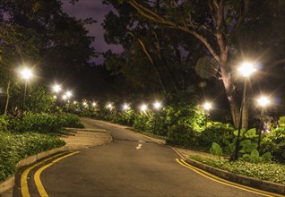 Decorative night lighting the road in the Botanic Garden of Singapore