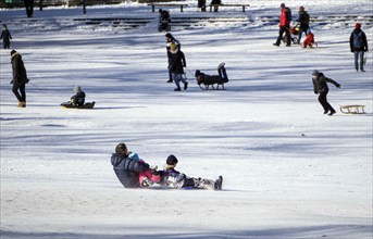 Tobogganing fun in Berlin's snow-covered Viktoriapark. Snow and icy cold continue to dominate the