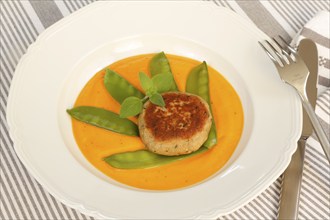 Vegetarian cuisine, walnut cakes on sugar snap peas with pumpkin sauce, sauce, vegetables, snow