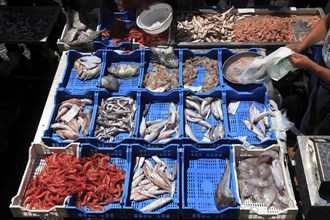 Fresh fish at the historic Catania fish market, Catania, Sicily, Italy, Europe