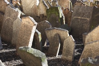 The Old Jewish Cemetery in the Josefov district is one of the most historically significant Jewish