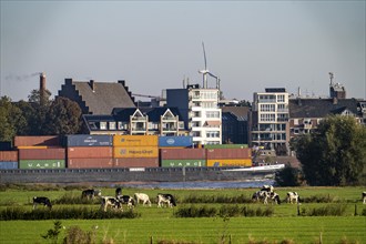 Skyline of Emmerich, on the Lower Rhine, pastures on the left bank of the Rhine, cows, container