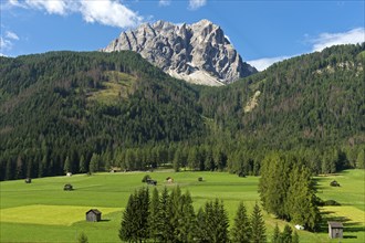 Alpine landscape with green alpine meadows, forest belt and summit massif of the