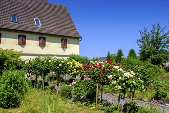 Flower gardens and houses in Mittelzell, Reichenau Island on Lake Constance, Baden-Württemberg,