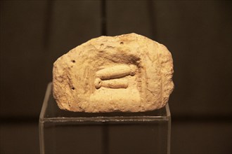 Carved stone penis shapes, National Museum of Archaeology, Valletta, Malta, Europe