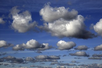 Cumulus clouds in blue sky over Bawdsey and Alderton, Suffolk, England, UK